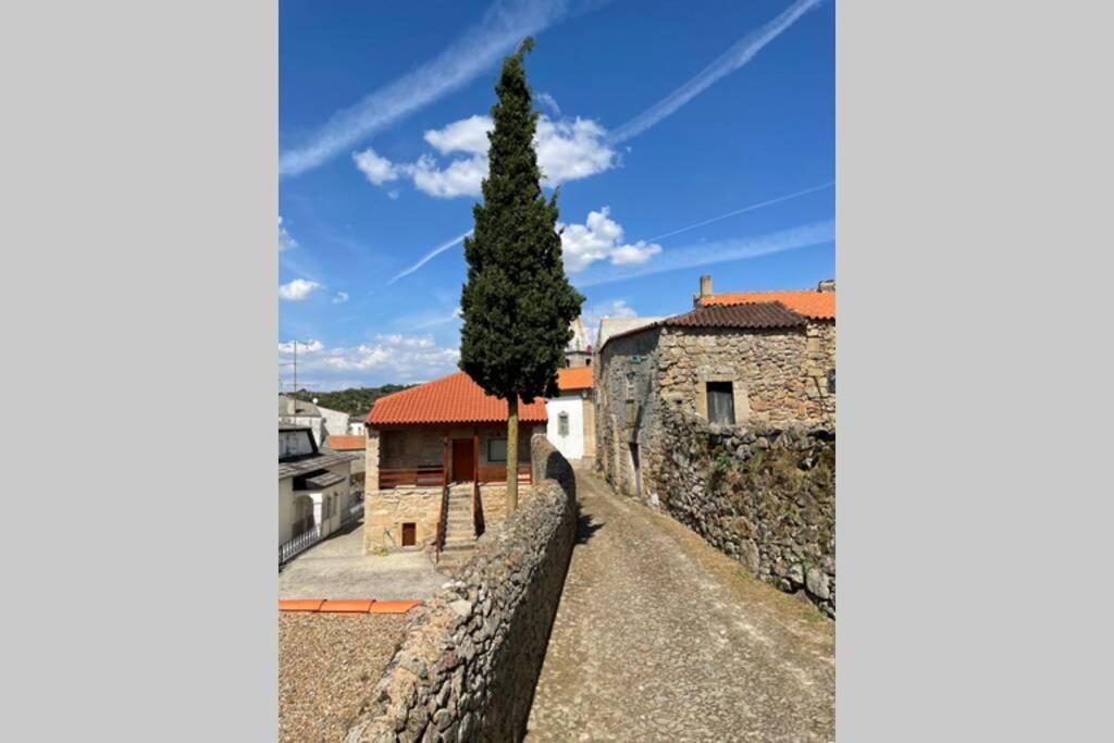 Casa De Sampaio - Castelo Mendo Villa Eksteriør bilde